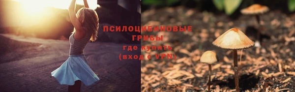 хмурый Верхний Тагил