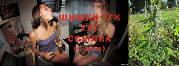 хмурый Верхний Тагил