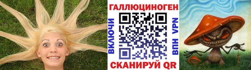 Псилоцибиновые грибы прущие грибы  где найти наркотики  Вичуга 
